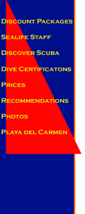dive shop playa del carmen diving dive training certification mexico