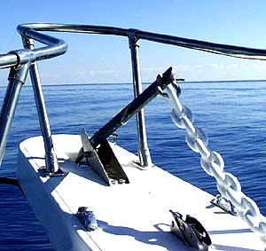 new dive boat playa del carmen padi certified dives
