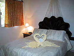 hotels playa del carmen mexico